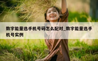 数字能量选手机号码怎么配对_数字能量选手机号实例