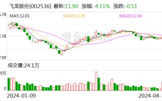 飞龙股份：2023 年净利润大增 211％ 拟 10 派 3 元