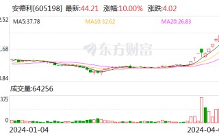 10 天 6 板安德利：公司股票存在大幅回调的风险