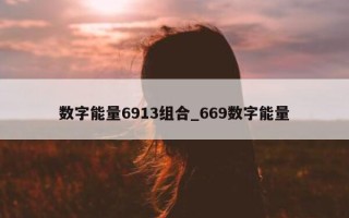 数字能量 6913 组合_669 数字能量