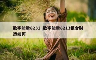 数字能量 8231_数字能量 8213 组合财运如何