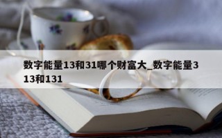 数字能量 13 和 31 哪个财富大_数字能量 313 和 131