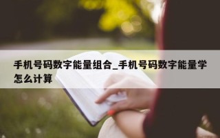 手机号码数字能量组合_手机号码数字能量学怎么计算