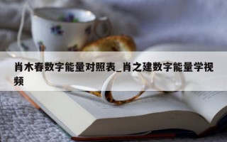 肖木春数字能量对照表_肖之建数字能量学视频