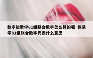 数字能量学 81 组联合数字怎么算的呢_数易学 81 组联合数字代表什么意思