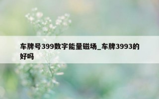 车牌号 399 数字能量磁场_车牌 3993 的好吗