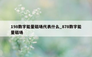 198 数字能量磁场代表什么_878 数字能量磁场