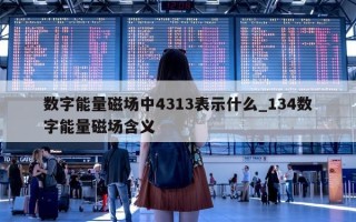 数字能量磁场中 4313 表示什么_134 数字能量磁场含义