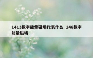 1413 数字能量磁场代表什么_148 数字能量磁场