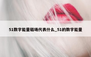 51 数字能量磁场代表什么_51 的数字能量