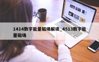 1414 数字能量磁场解读_4513 数字能量磁场