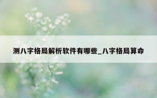 测八字格局解析软件有哪些_八字格局算命