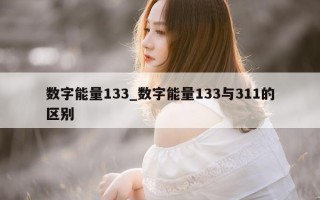 数字能量 133_数字能量 133 与 311 的区别