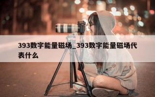 393 数字能量磁场_393 数字能量磁场代表什么