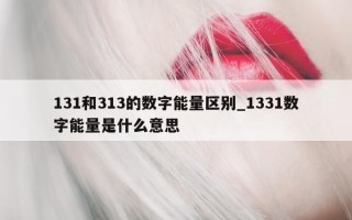 131 和 313 的数字能量区别_1331 数字能量是什么意思