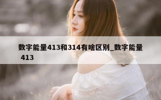 数字能量 413 和 314 有啥区别_数字能量 413