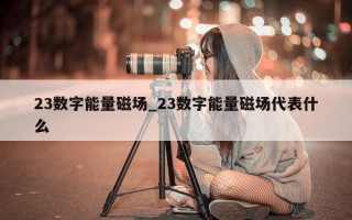 23 数字能量磁场_23 数字能量磁场代表什么