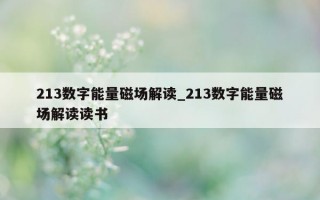 213 数字能量磁场解读_213 数字能量磁场解读读书