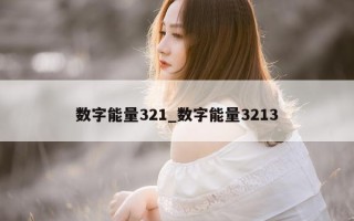 数字能量 321_数字能量 3213