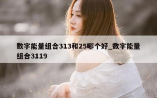 数字能量组合 313 和 25 哪个好_数字能量组合 3119