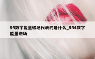 95 数字能量磁场代表的是什么_954 数字能量磁场