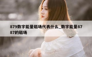 879 数字能量磁场代表什么_数字能量 8787 的磁场