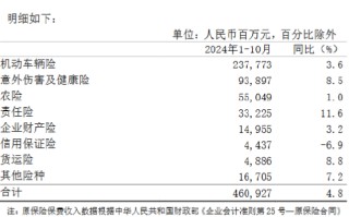 中国人保：前10月原保险保费收入6065.1亿元 同比增长5.3%