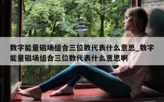 数字能量磁场组合三位数代表什么意思_数字能量磁场组合三位数代表什么意思啊