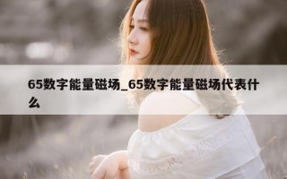 65 数字能量磁场_65 数字能量磁场代表什么