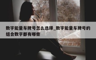 数字能量车牌号怎么选择_数字能量车牌号的组合数字都有哪些