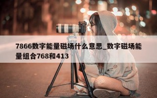 7866 数字能量磁场什么意思_数字磁场能量组合 768 和 413