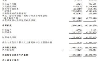 恒大汽车去年净亏损 119.95 亿元，预计有应付未来 12 个月的足够资金