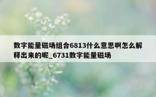 数字能量磁场组合6813什么意思啊怎么解释出来的呢_6731数字能量磁场