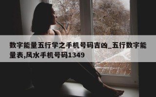 数字能量五行学之手机号码吉凶_五行数字能量表, 风水手机号码 1349