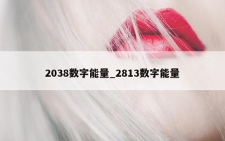 2038 数字能量_2813 数字能量