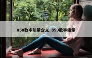 858 数字能量含义_859 数字能量