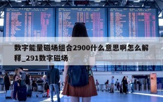 数字能量磁场组合 2900 什么意思啊怎么解释_291 数字磁场