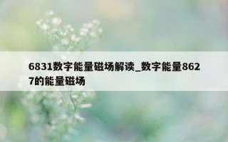 6831 数字能量磁场解读_数字能量 8627 的能量磁场