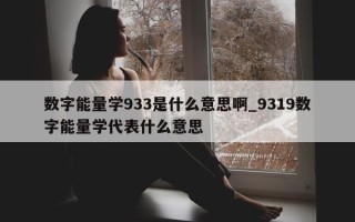 数字能量学 933 是什么意思啊_9319 数字能量学代表什么意思