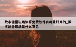 数字能量磁场测算免费软件有哪些好用的_数字能量磁场是什么意思