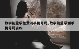 数字能量学免费测手机号码_数字能量学测手机号码吉凶