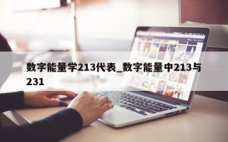 数字能量学 213 代表_数字能量中 213 与 231