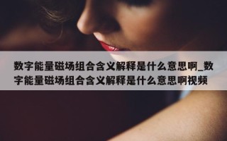 数字能量磁场组合含义解释是什么意思啊_数字能量磁场组合含义解释是什么意思啊视频