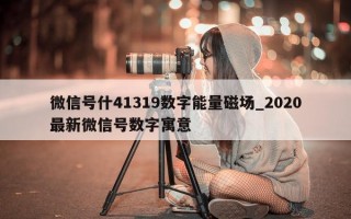 微信号什 41319 数字能量磁场_2020 最新微信号数字寓意