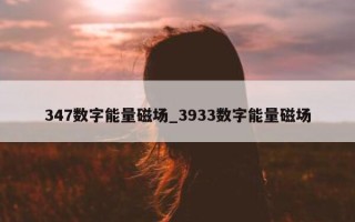 347 数字能量磁场_3933 数字能量磁场