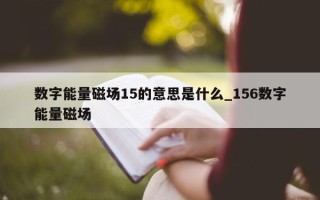 数字能量磁场 15 的意思是什么_156 数字能量磁场