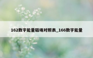 162 数字能量磁场对照表_166 数字能量