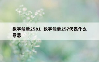 数字能量 2581_数字能量 257 代表什么意思