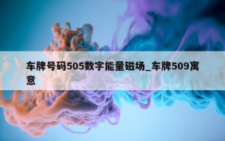 车牌号码 505 数字能量磁场_车牌 509 寓意