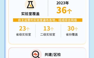 一图看懂艾迪康控股 (9860.HK)2023 年全年业绩